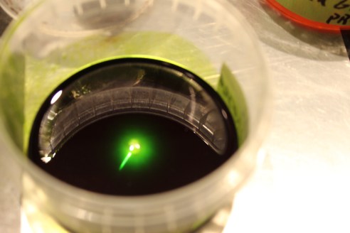 Europe Trip 2012 056