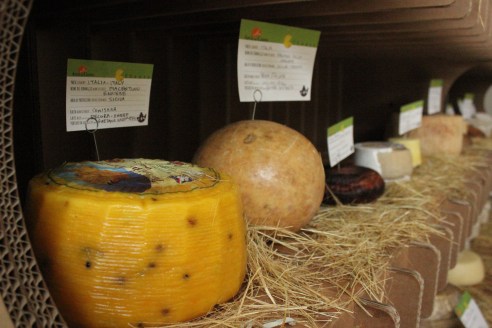 Cheese Festival 072
