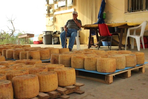 Study Trip #3-Sicily Day Two 003