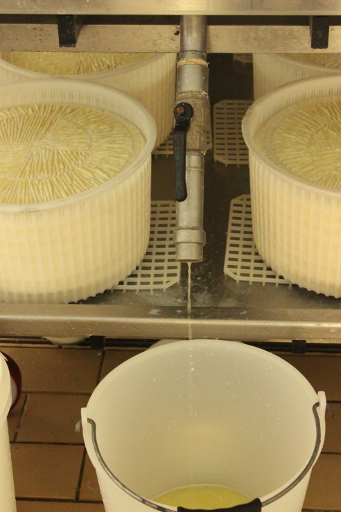 Study Trip #3-Sicily Day Two 007