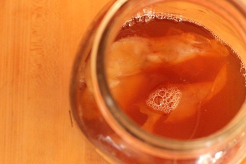 Kombucha 003
