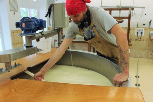 Matt Eagle adding the traditional rennet to the vat.