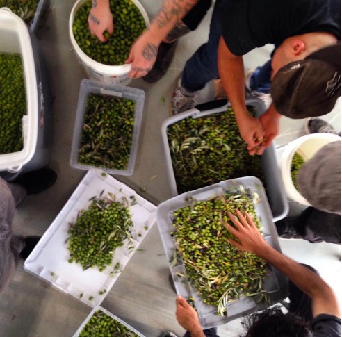 Screen Shot 2016-01-30 at 5.48.55 PM